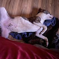 Thumbnail photo of Chance #4