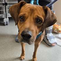 Thumbnail photo of Redmon #3