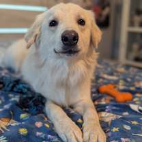 Thumbnail photo of Winston #2