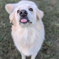 Thumbnail photo of Winston #3