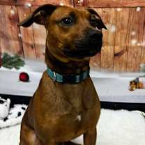 Thumbnail photo of Wade #1