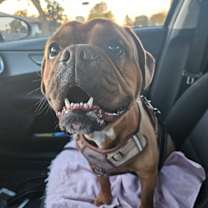 Thumbnail photo of MR #2