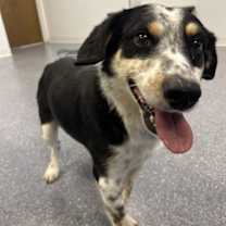 Thumbnail photo of Eddard (Ed) #3