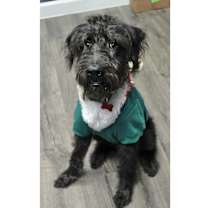 Thumbnail photo of Pluto #2