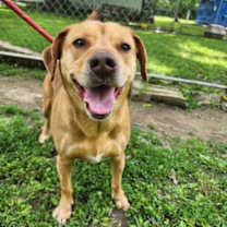 Thumbnail photo of Sandra Dee #3