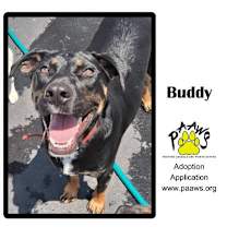 Thumbnail photo of Buddy #2