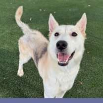 Thumbnail photo of Ponyo #1