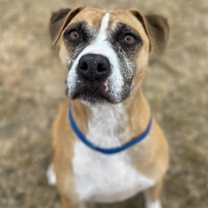 Thumbnail photo of Mulan #3