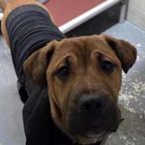 Thumbnail photo of Zeus #4