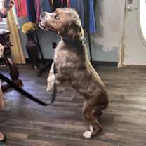 Thumbnail photo of Klaus #2