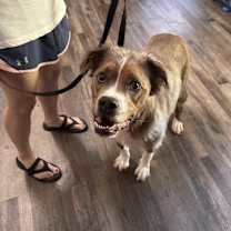 Thumbnail photo of Klaus #3