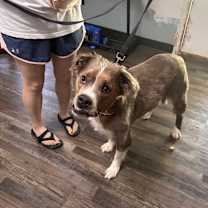 Thumbnail photo of Klaus #4