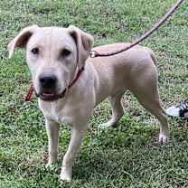 Thumbnail photo of Chase #2