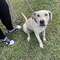 Thumbnail photo of Chase #3