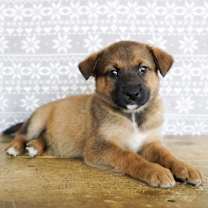 Thumbnail photo of Erica #1