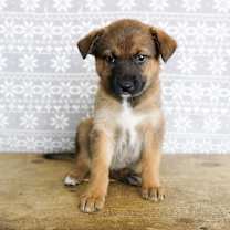 Thumbnail photo of Erica #3