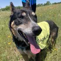 Thumbnail photo of Jake #3