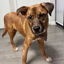 Thumbnail photo of Keysi #1