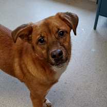 Thumbnail photo of Keysi #2