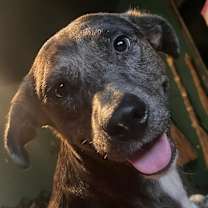 Thumbnail photo of Marlene OH #4