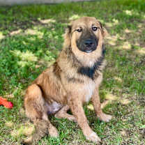 Thumbnail photo of Miley 25-12-067 #1