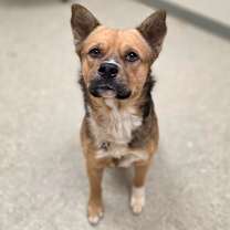 Thumbnail photo of Caleb #2