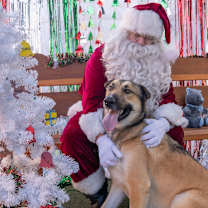 Thumbnail photo of Rockie  #1