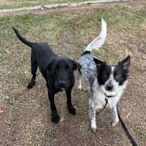 Thumbnail photo of Sweetums #4