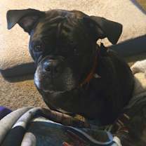 Thumbnail photo of Pepper #4