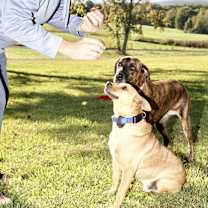 Thumbnail photo of Ricky #2