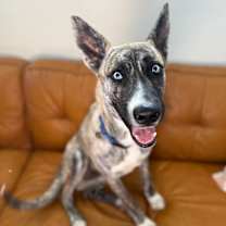 Thumbnail photo of Walker Baby Snuggle Boy #1