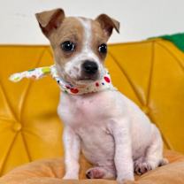 Thumbnail photo of Freddy Rios #3