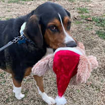 Thumbnail photo of Atlas #1