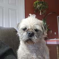 Thumbnail photo of Speckles #3