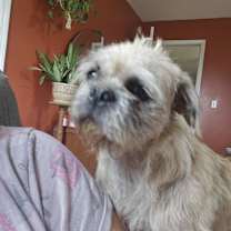 Thumbnail photo of Speckles #4