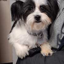 Thumbnail photo of Frost #1