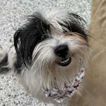 Thumbnail photo of Frost #2