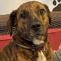 Thumbnail photo of Jericho #1