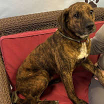 Thumbnail photo of Jericho #2