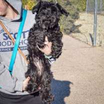 Thumbnail photo of Axel #3