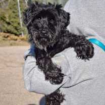 Thumbnail photo of Axel #4