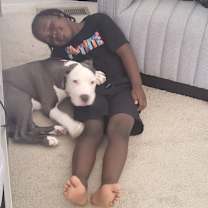 Thumbnail photo of Kyrie #4