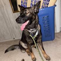 Thumbnail photo of Dani #1