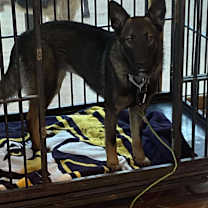 Thumbnail photo of Dani #3