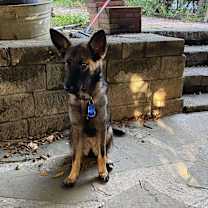 Thumbnail photo of Dani #4