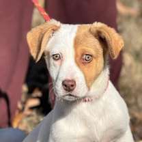 Thumbnail photo of Winnie #1