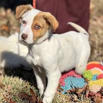 Thumbnail photo of Winnie #3