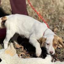 Thumbnail photo of Winnie #4