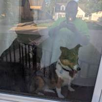 Thumbnail photo of Bella #3