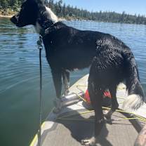 Thumbnail photo of Myrtle #3